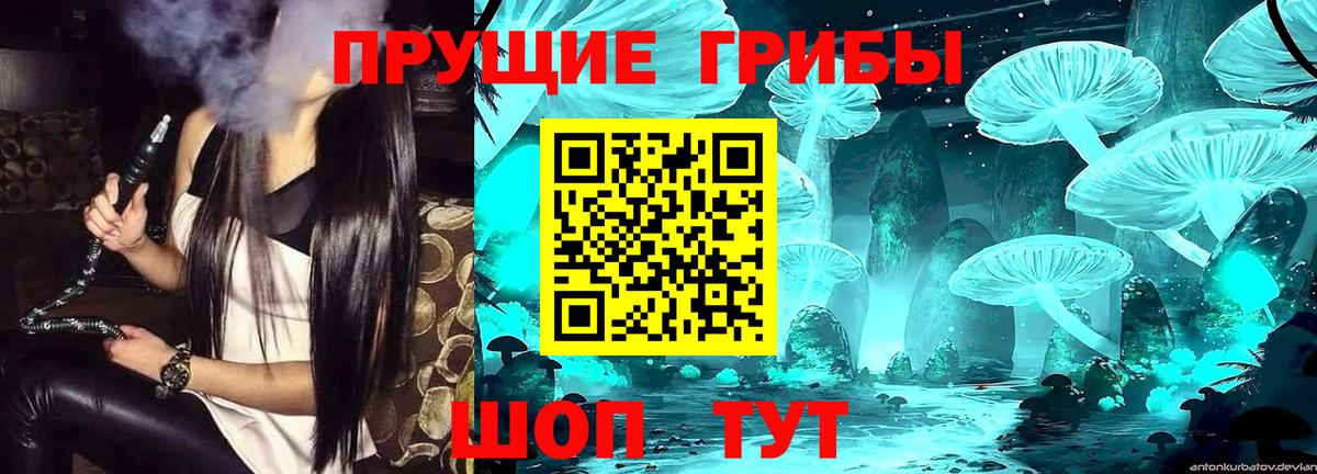 Псилоцибиновые грибы прущие грибы Ирбит